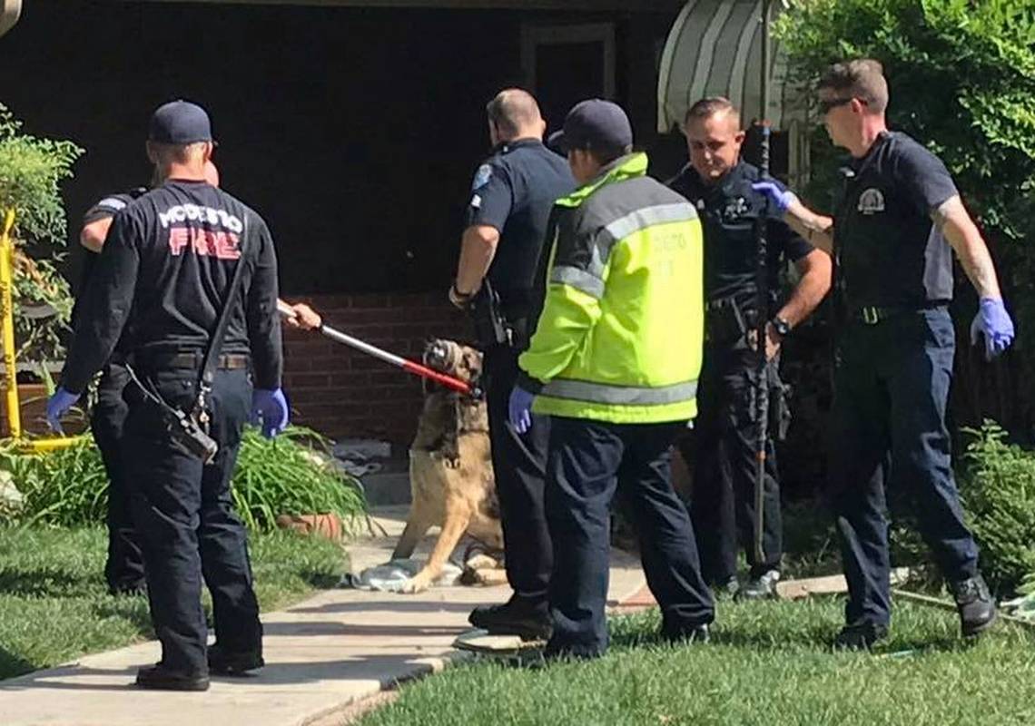 Illustration de l'article : Etats-Unis : Les pompiers maîtrisent un chien qui a mordu 3 personnes dont son maître